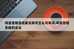 项目管理系统英文简写怎么写单词,项目管理系统的含义