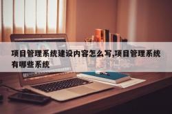 项目管理系统建设内容怎么写,项目管理系统有哪些系统