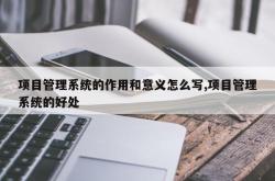 项目管理系统的作用和意义怎么写,项目管理系统的好处