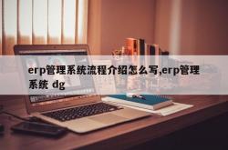 erp管理系统流程介绍怎么写,erp管理系统 dg