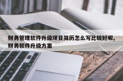 财务管理软件升级项目简历怎么写比较好呢,财务软件升级方案