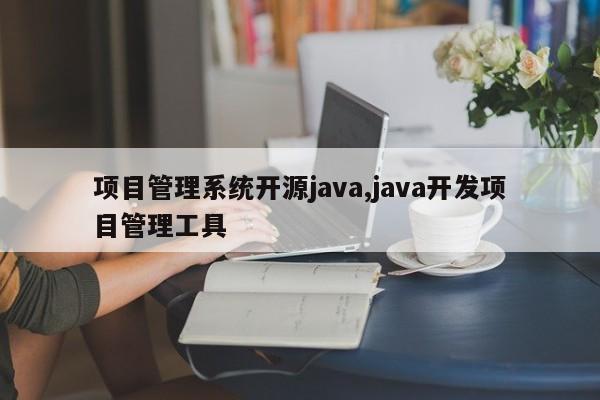 项目管理系统开源java,java开发项目管理工具