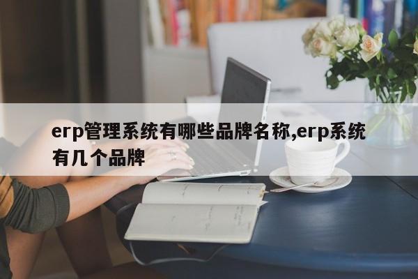 erp管理系统有哪些品牌名称,erp系统有几个品牌