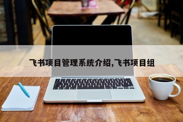 飞书项目管理系统介绍,飞书项目组